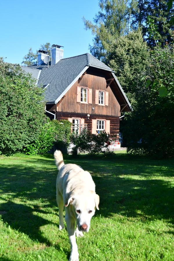 Naturforsthaus Ferienwohnung Fuer Hunde- Und Tierverbundene Menschen Preitenegg المظهر الخارجي الصورة